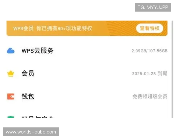 欧博会员登录网球账号的常见问题及其专业解决方案详解